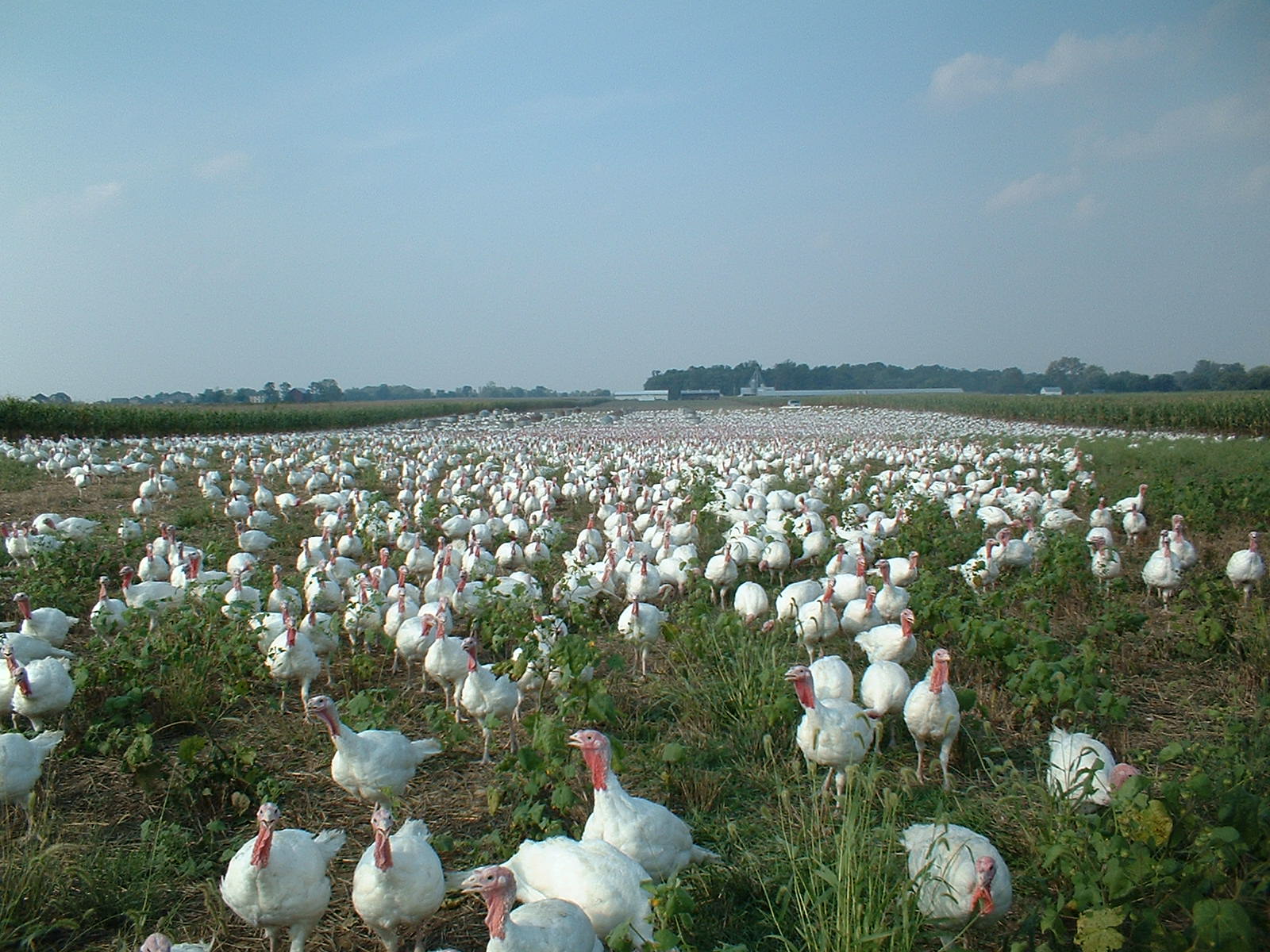 Morning Brief Five consequences of a Biden administration for US