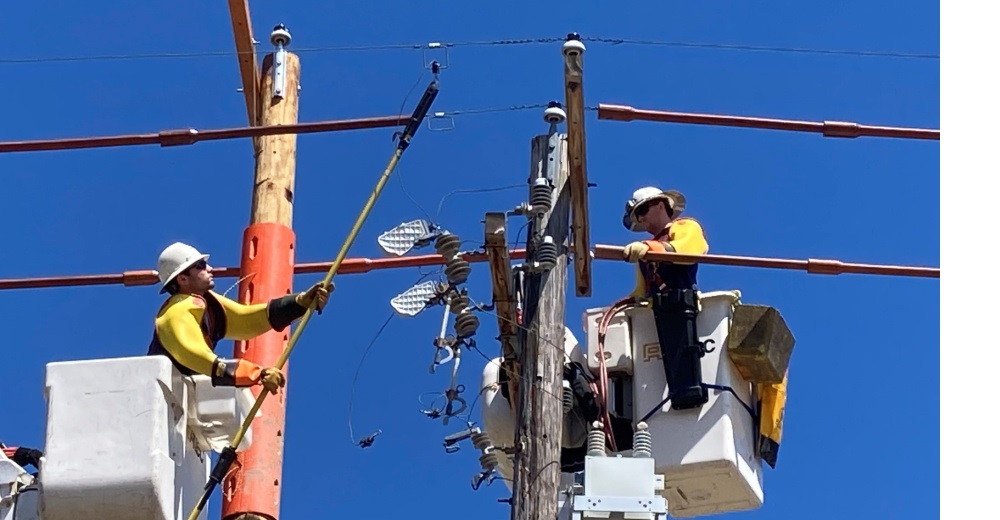 Legal petition calls for an FTC investigation into electric utility ...
