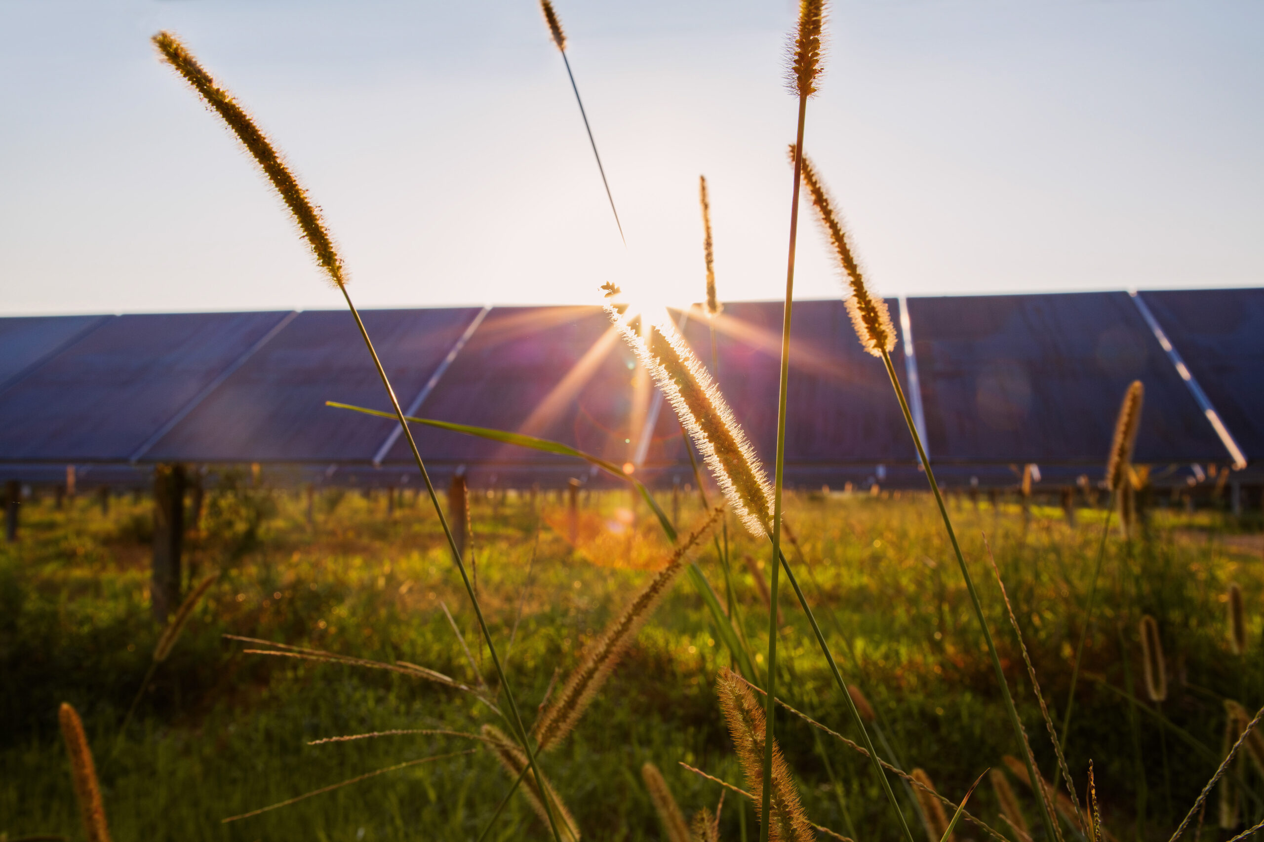 Lightsource bp completes 135 MW Arkansas solar project – pv