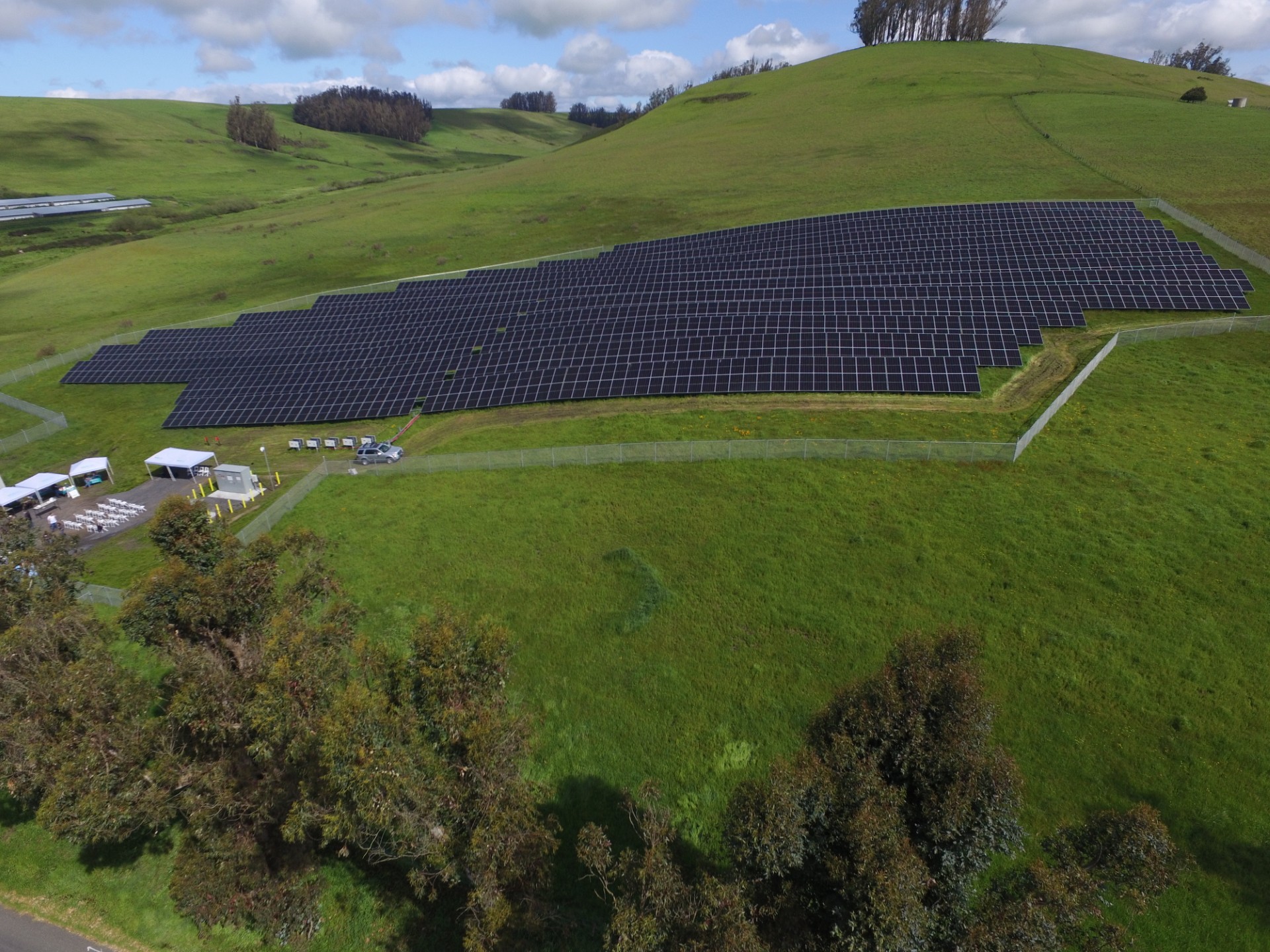 California Solar Installation Designed For Grazing Sheep – Pv Magazine Usa