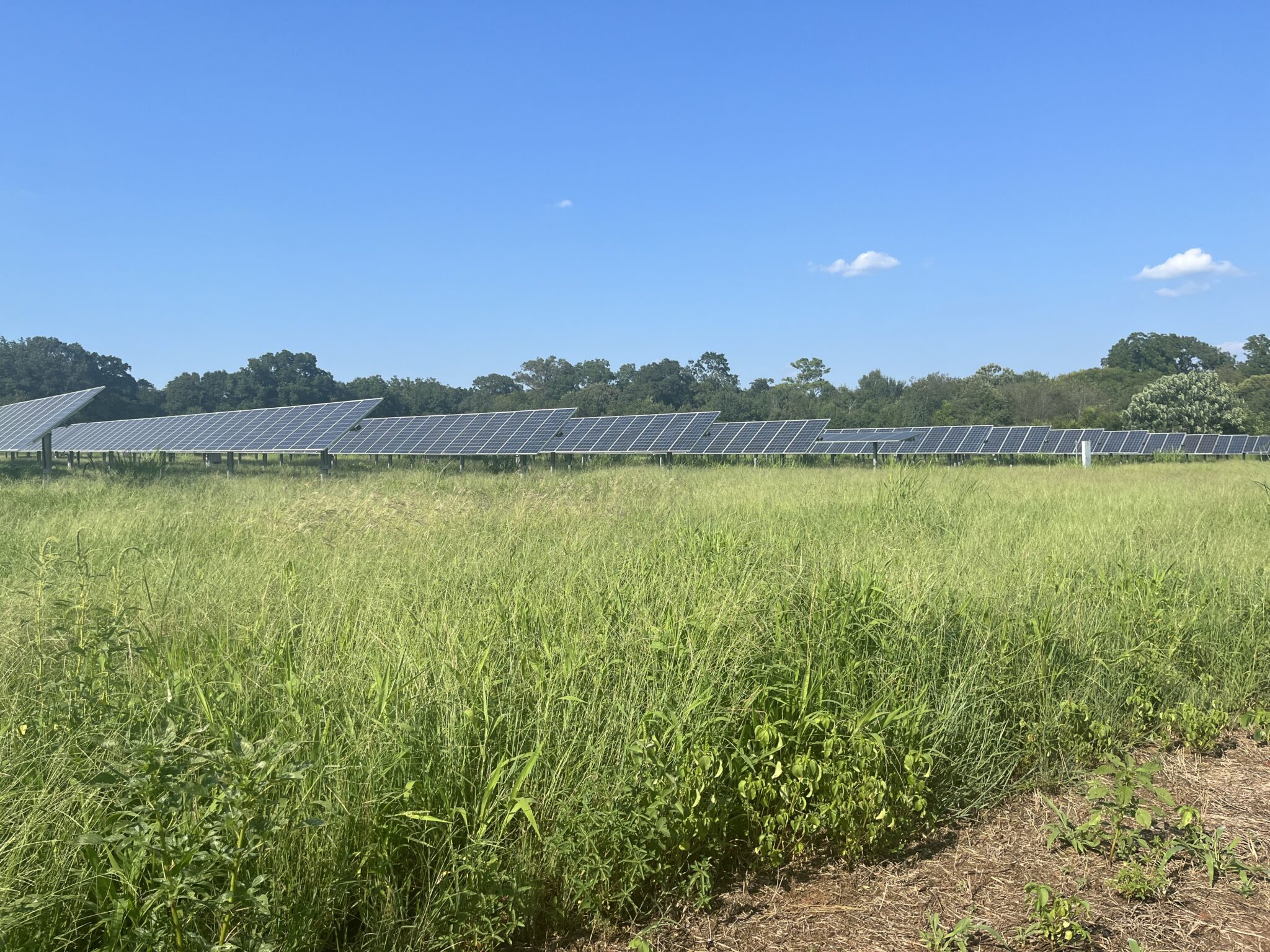 Jimmy Carter, champion of solar energy – pv magazine USA