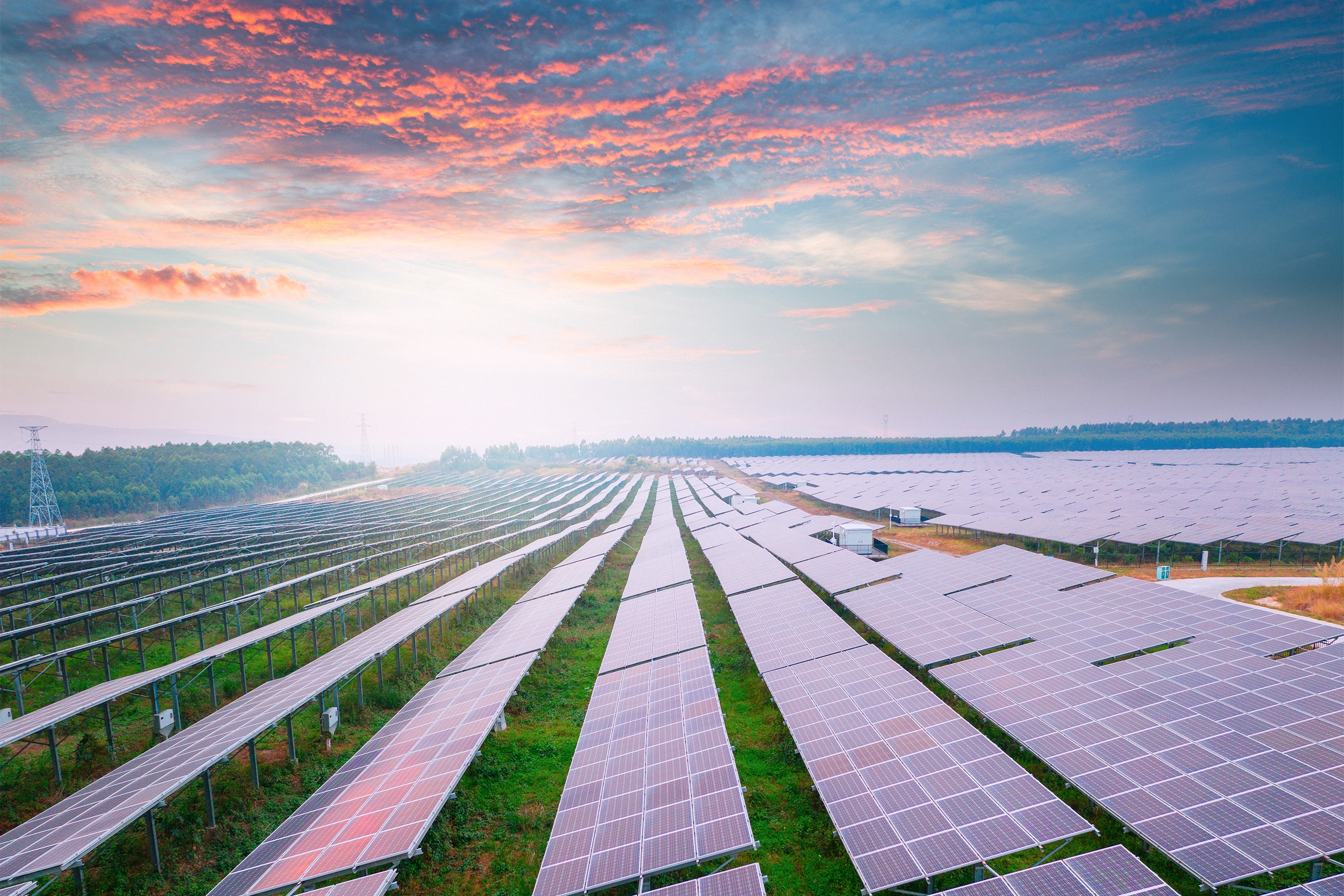 Largest solar project in Wisconsin history gets the wildlife greenlight