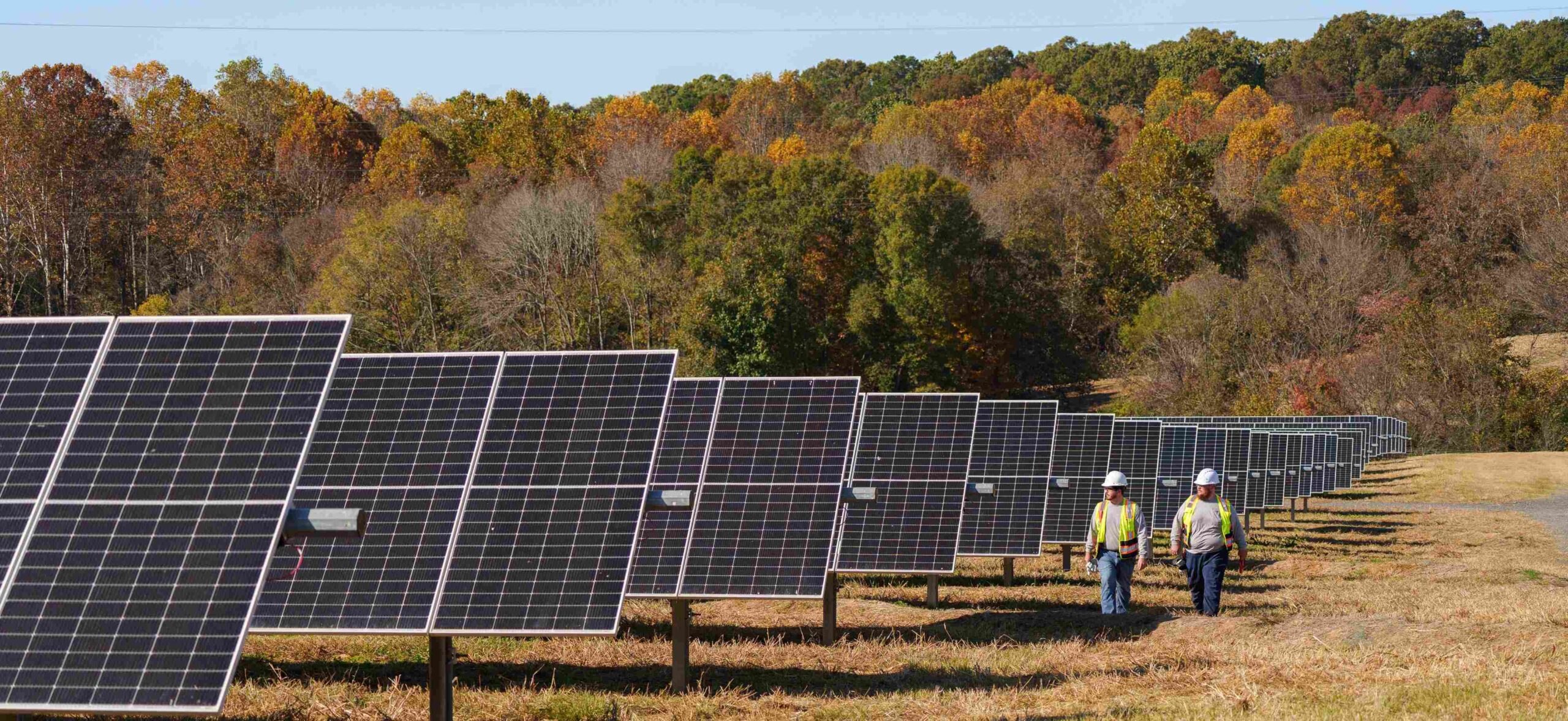 Amazon secures full capacity of 100 MW project in Mississippi