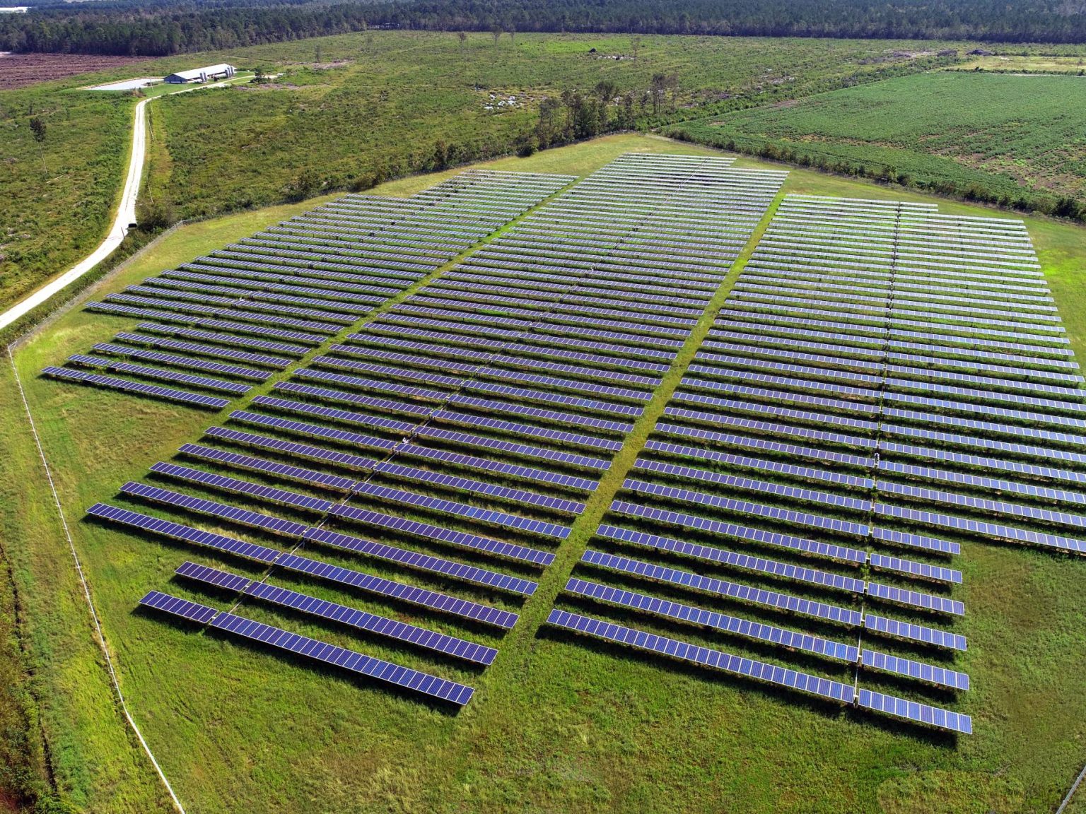 Solar developer Emeren evaluates buyout, CEO steps down