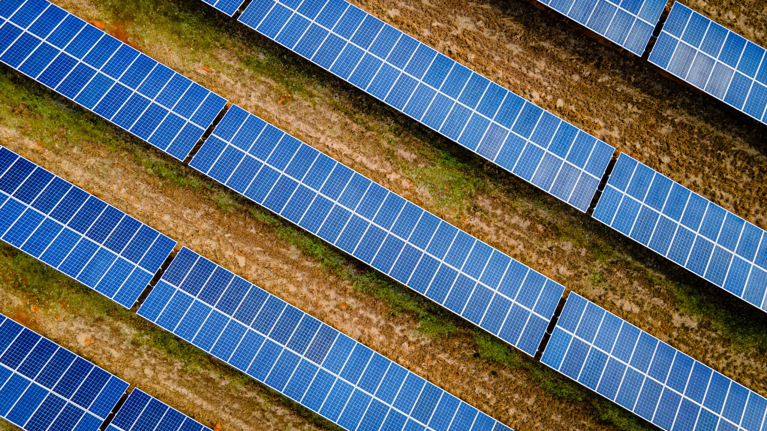 Meta signs on for two more Texas solar projects