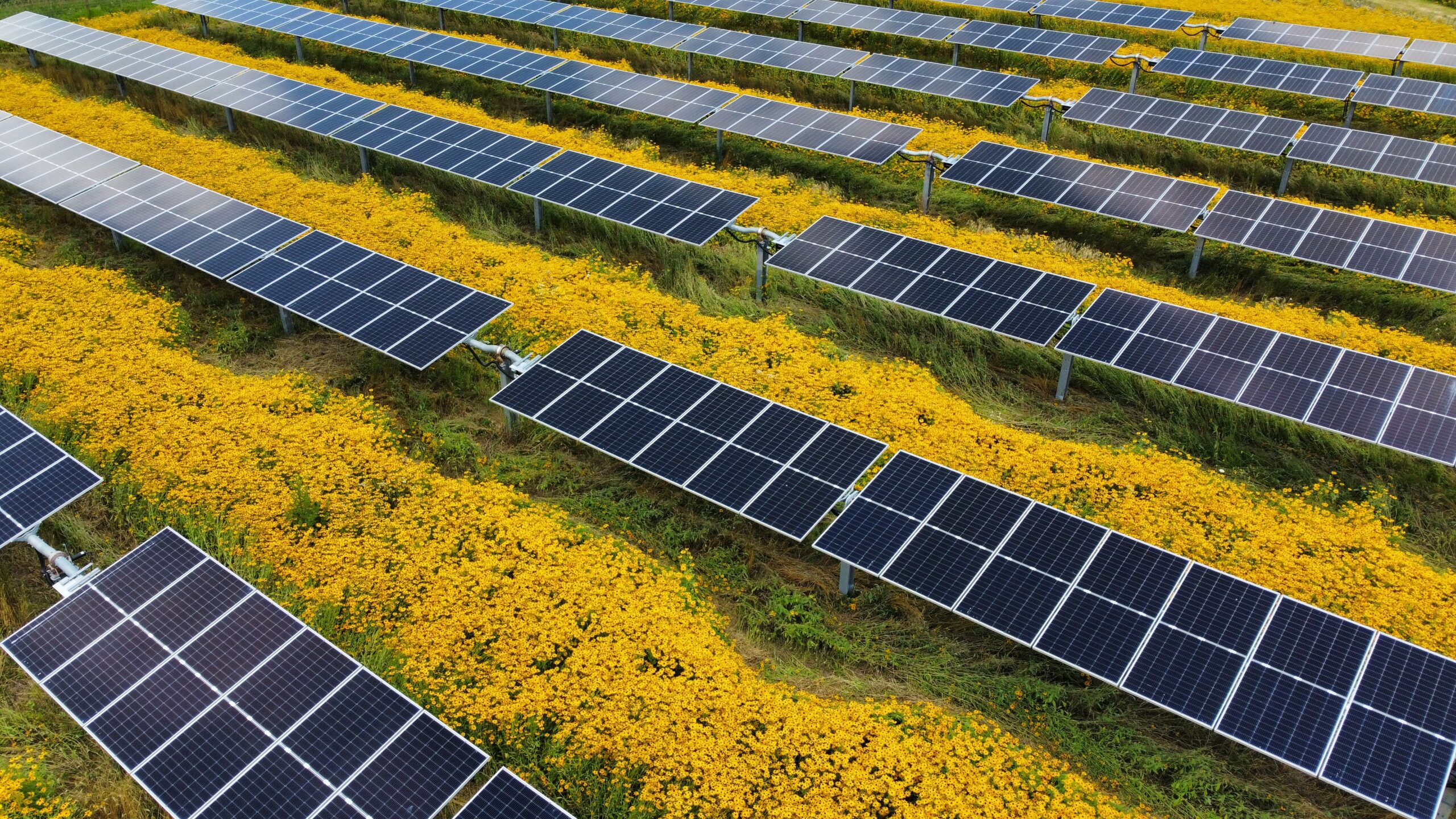 Senate seeks to tax the very idea of solar power