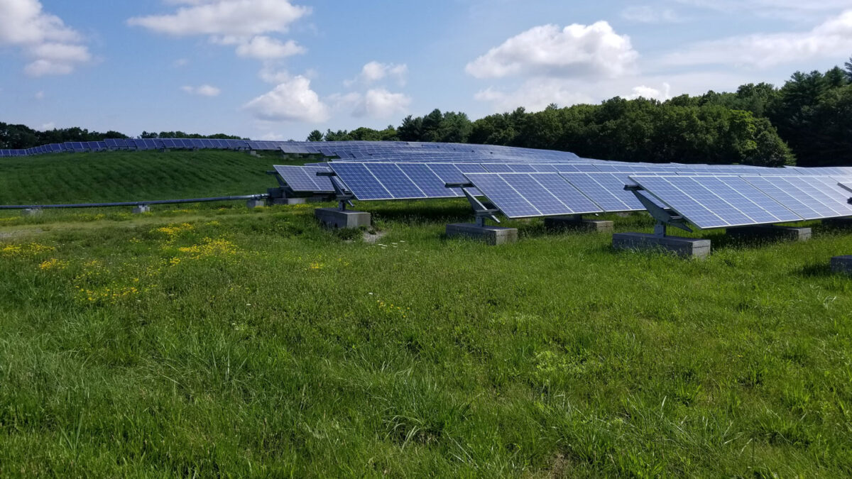 Solar panels installed in a grassy field that could use a mowing