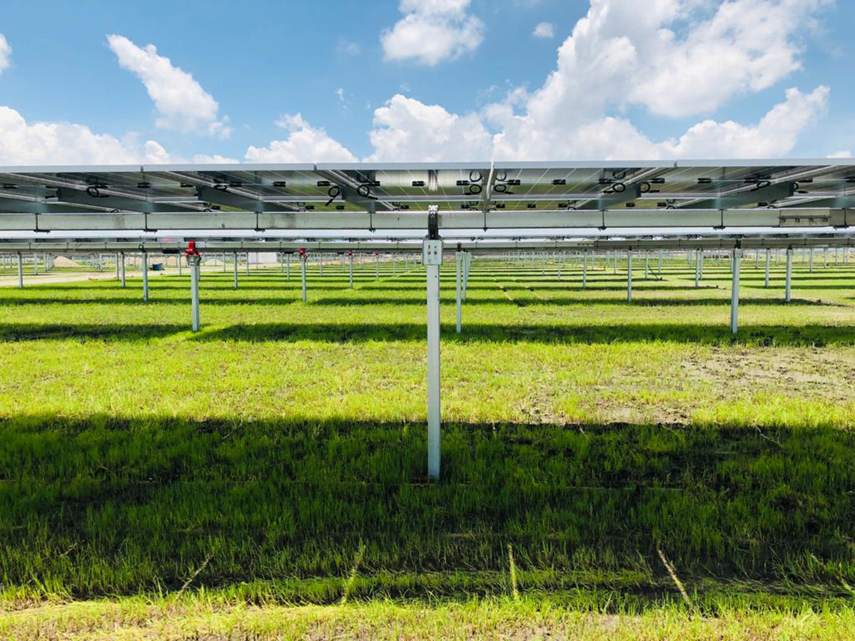 A large solar installation with Soltec SF7 trackers