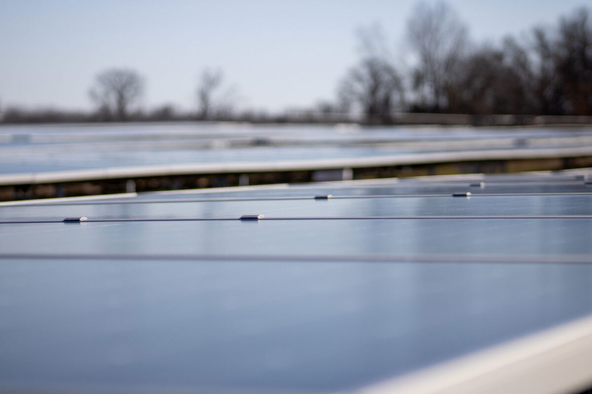 Closeup of solar panels in a large arrray