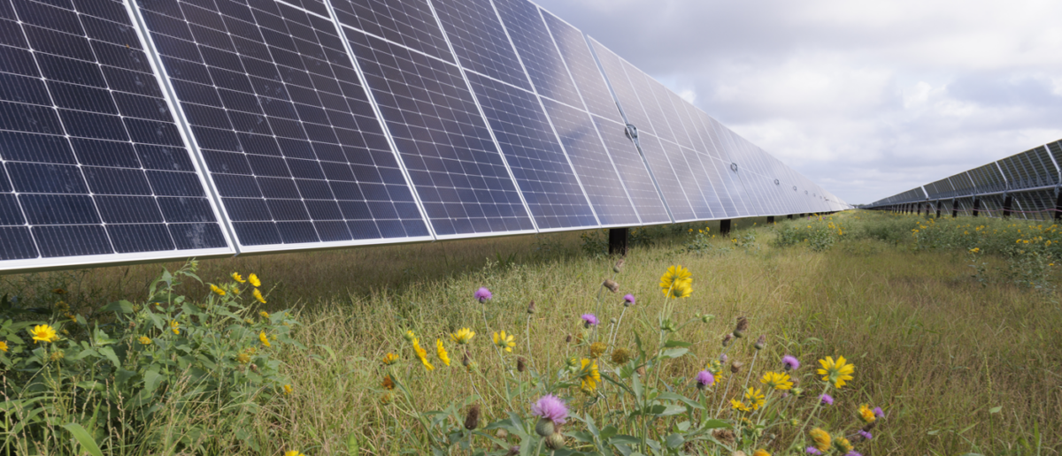 Long rows of solar panels on a prairie meadow