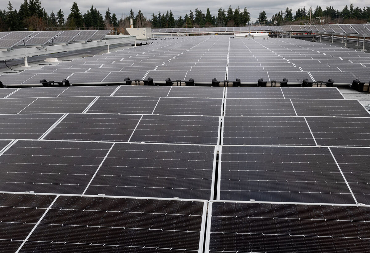 Solar panels in a large array